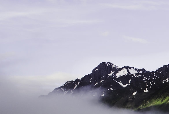 粉象生活赚钱教程