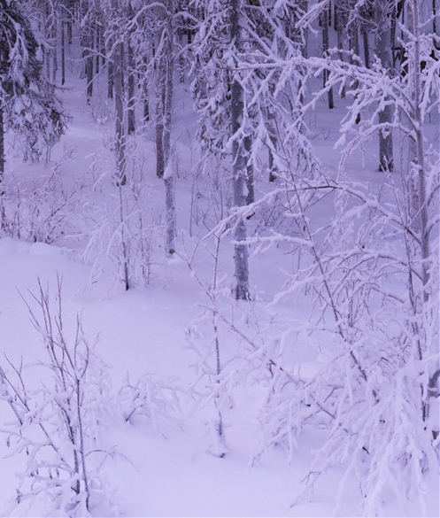 粉象生活拉不到人能赚佣金吗