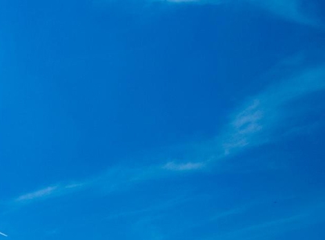 粉象生活的砍价