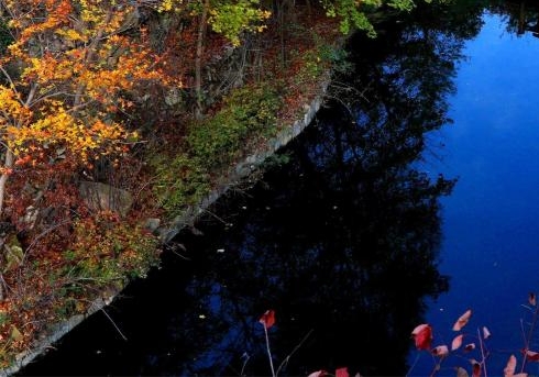 电商粉象生活怎么赚钱