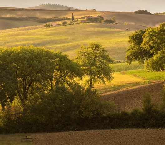 粉象生活邀请码