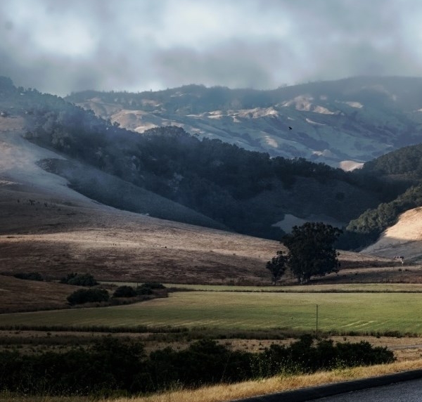 粉象生活邀请码填谁的,谁就可以赚钱吗