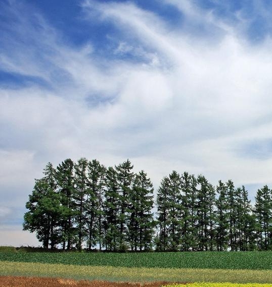 粉象生活邀请码在哪里填写
