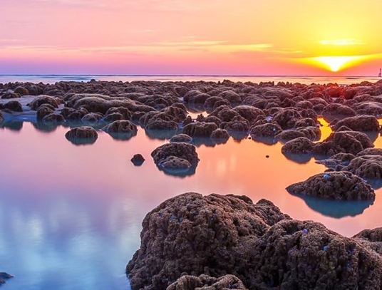 粉象生活一天几百是真是假