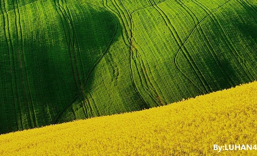 粉象生活平台靠什么赚钱