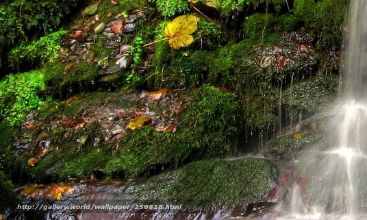 天津奥斯卡酒吧