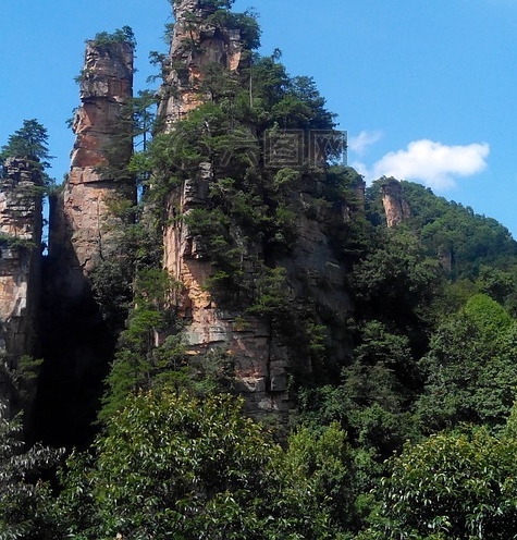 粉象生活怎么赚钱的