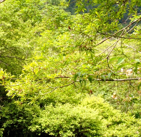 粉象是什么平台