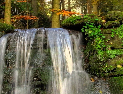 宝坻生活网招聘司机