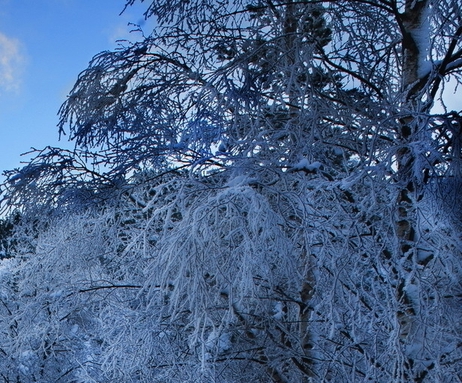 粉象生活下载app