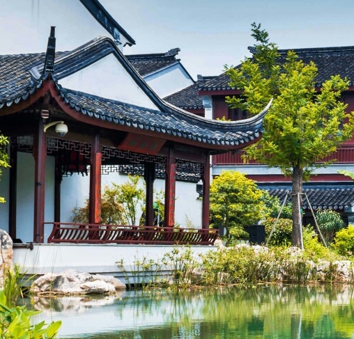 粉象生活是干嘛的