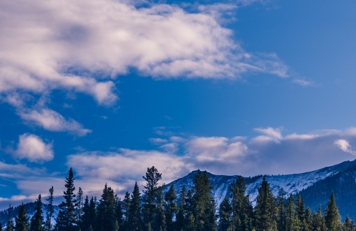 粉象生活怎么赚钱的技巧