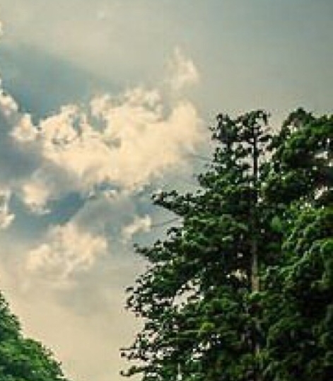 粉象生活赚钱教程