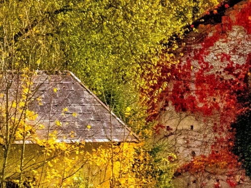 粉象生活要开通会员吗