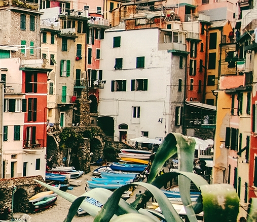 下载粉象app下载