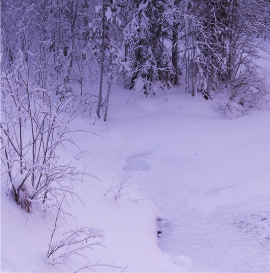 粉象生活商城购物