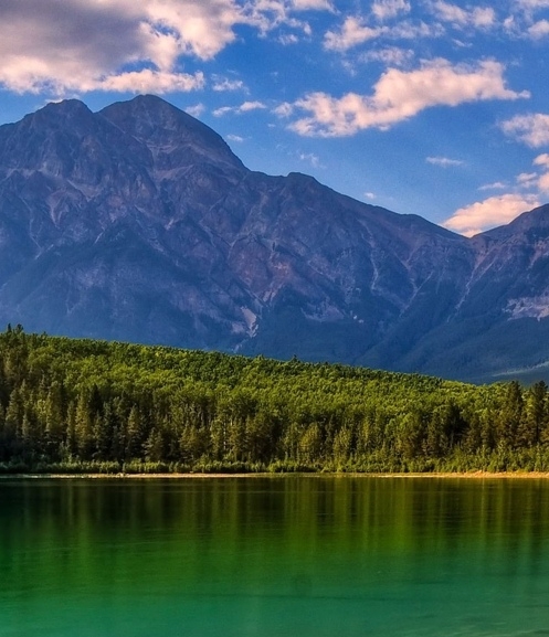 汕尾赚生活代理