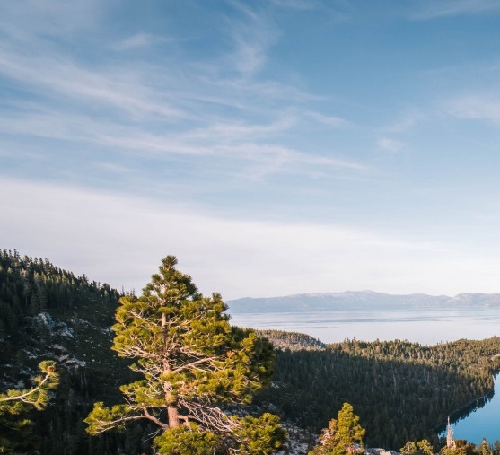 粉象生活会员礼包是怎么回事