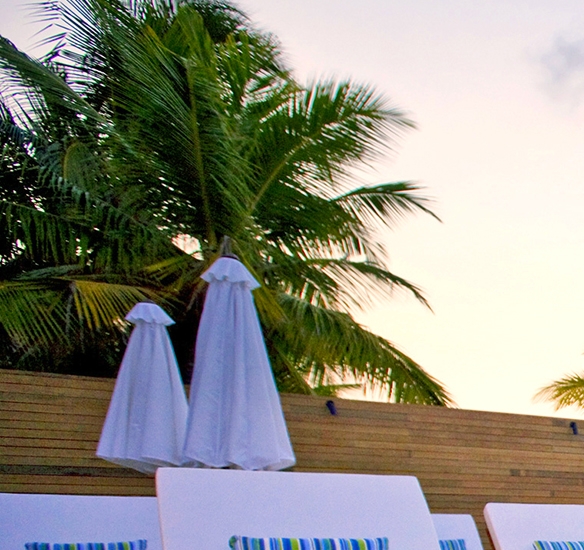 品质粉象生活是什么