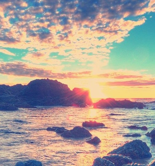 粉象生活真实收入