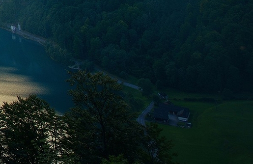 粉象生活公司成立