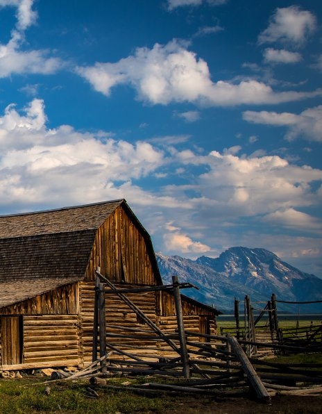 金禾象面包粉吸水量怎么样