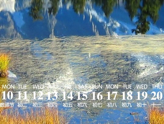 蓝粉象婴儿衣服怎么样