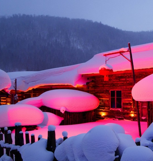 类似粉象生活的都有哪些app