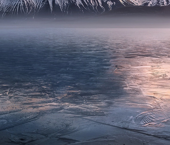 粉象生活打开口令