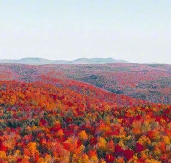 粉象生活邀请码