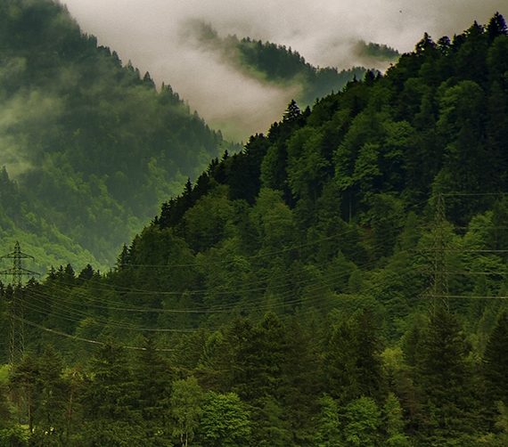 粉象生活粉丝怎么增加