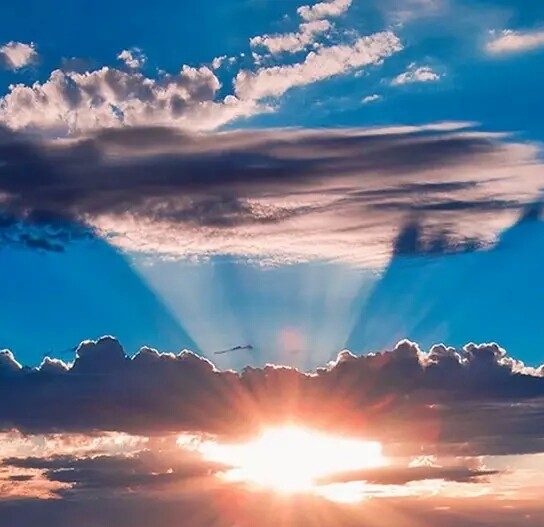 粉象生活新人一天赚多少了钱