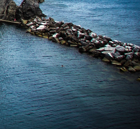 广东正规粉象生活软件