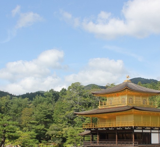 佛山粉象生活合伙人