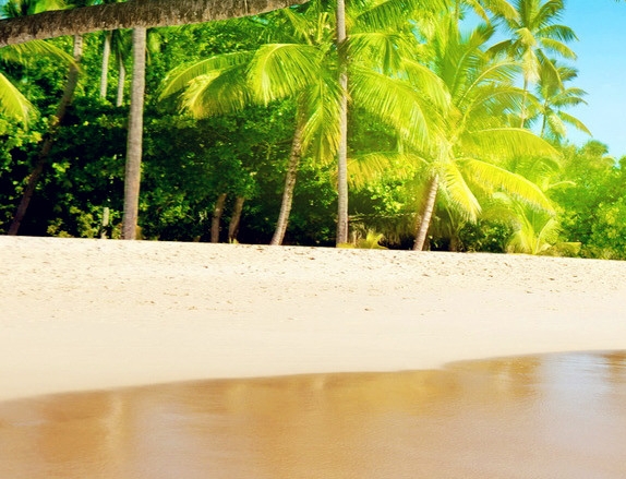 粉象生活合法吗