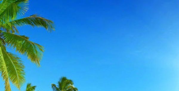 湛江粉象生活如何使用