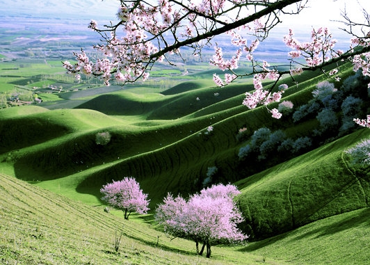 粉象生活购物平台真实吗