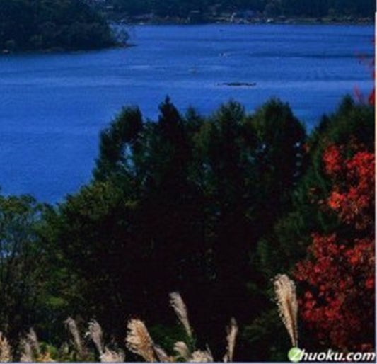 粉象生活取消淘宝授权