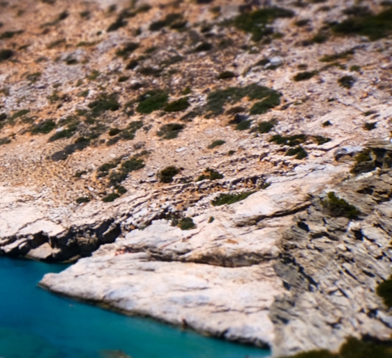 粉象生活邀请新人多少钱