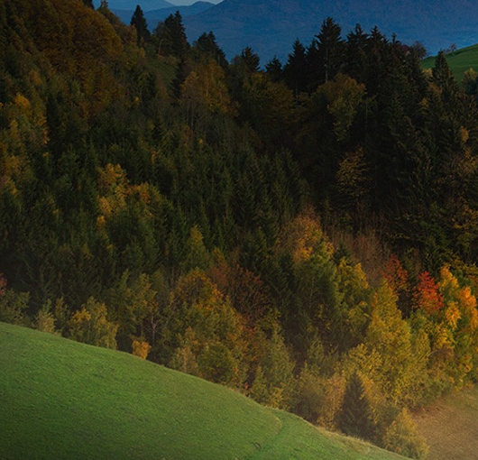 粉象生活合法吗