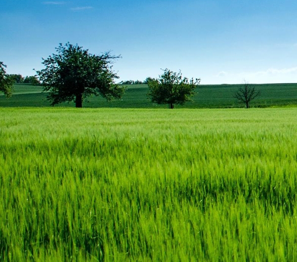 广州粉象生活合伙人