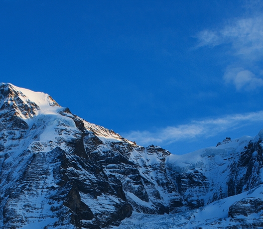 粉象生活粉丝怎么增加