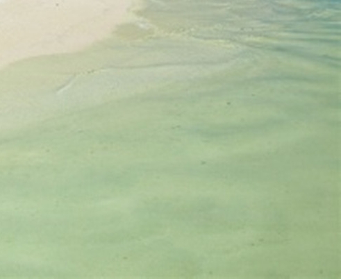 粉象生活是真的吗?要交钱吗