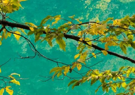 粉象生活怎么解绑淘宝账号