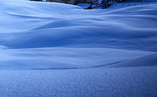 粉象生活全套系统