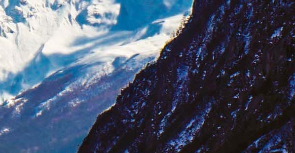 粉象生活在线客服没有用