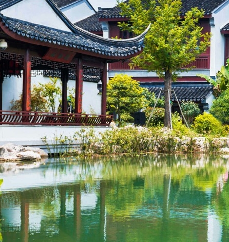 衢州app粉象生活推广