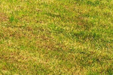 粉象生活是干嘛的