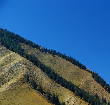 粉象生活怎么解绑淘宝账号