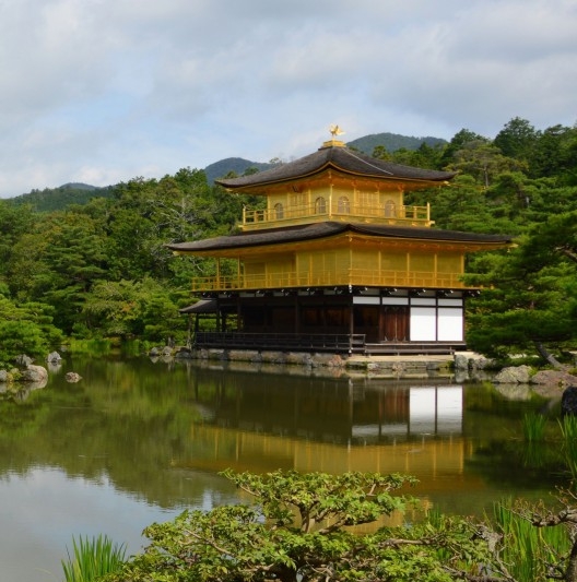 粉象生活模式合法吗